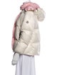 Moncler Down Down Jacket