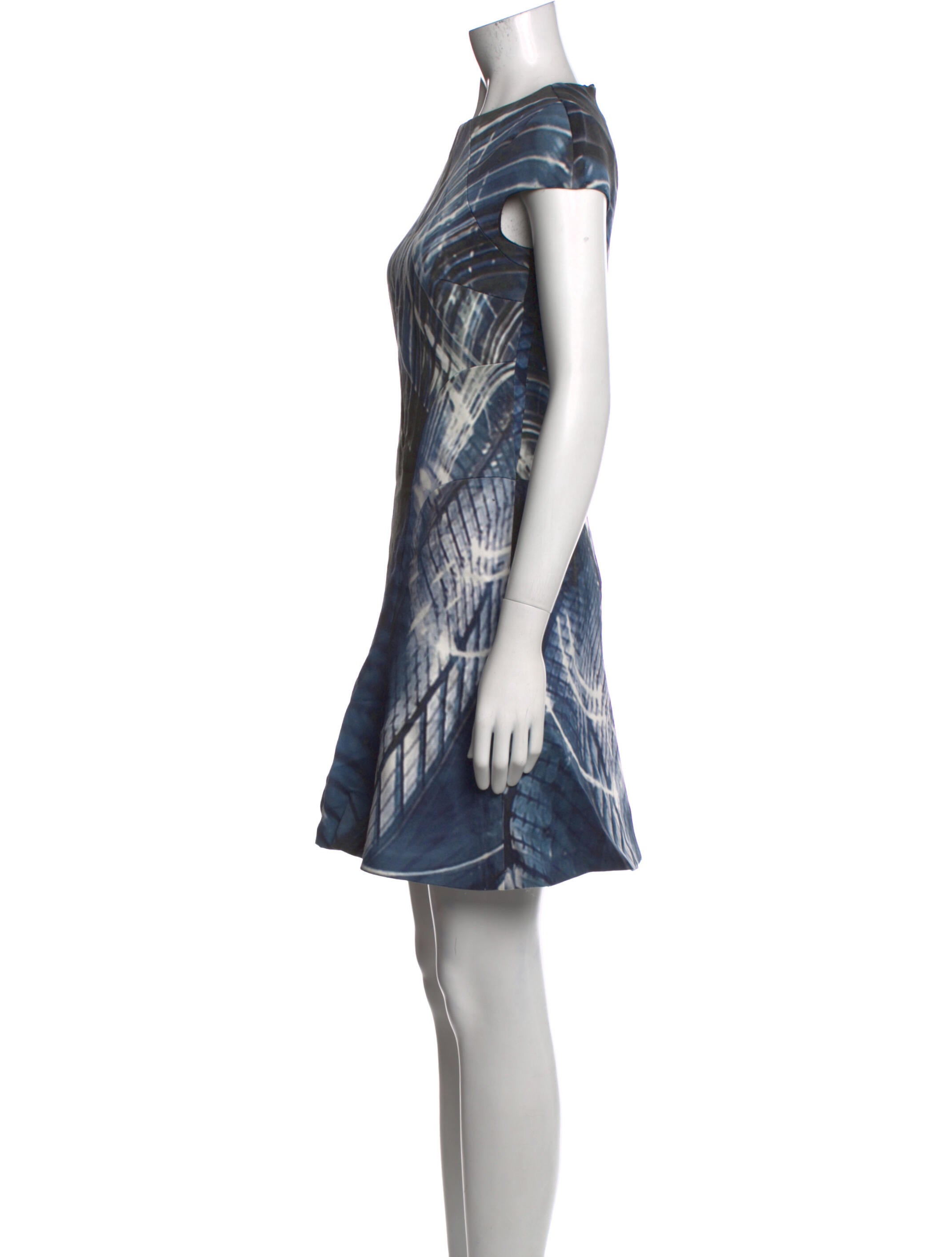 Monique Lhuillier Printed Mini Dress