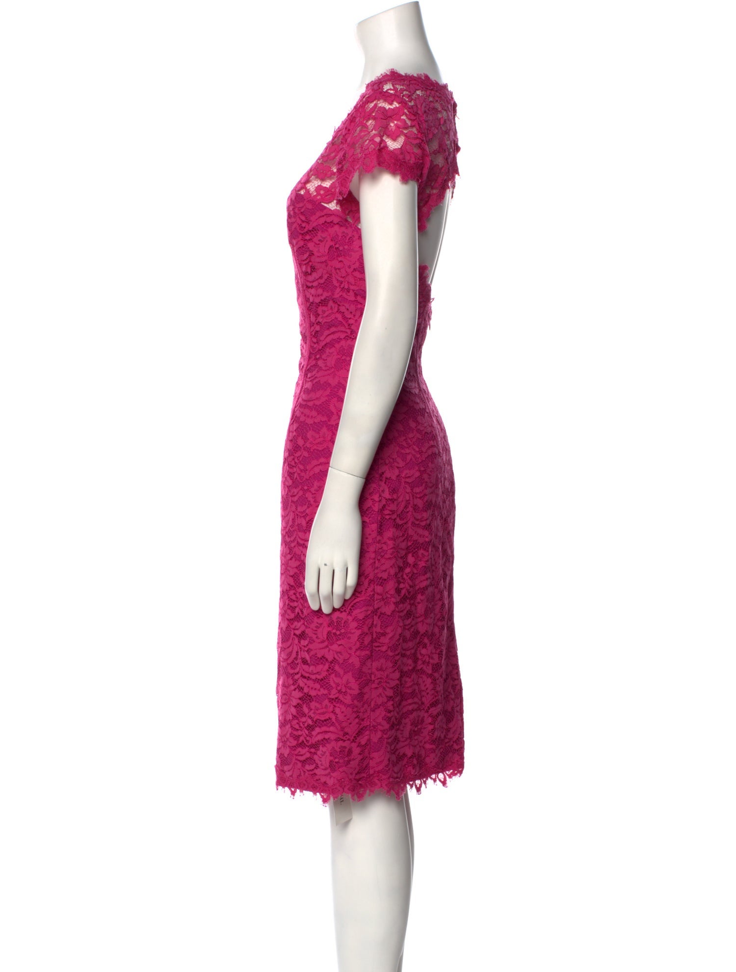 Monique Lhuillier Lace Pattern Knee-Length Dress
