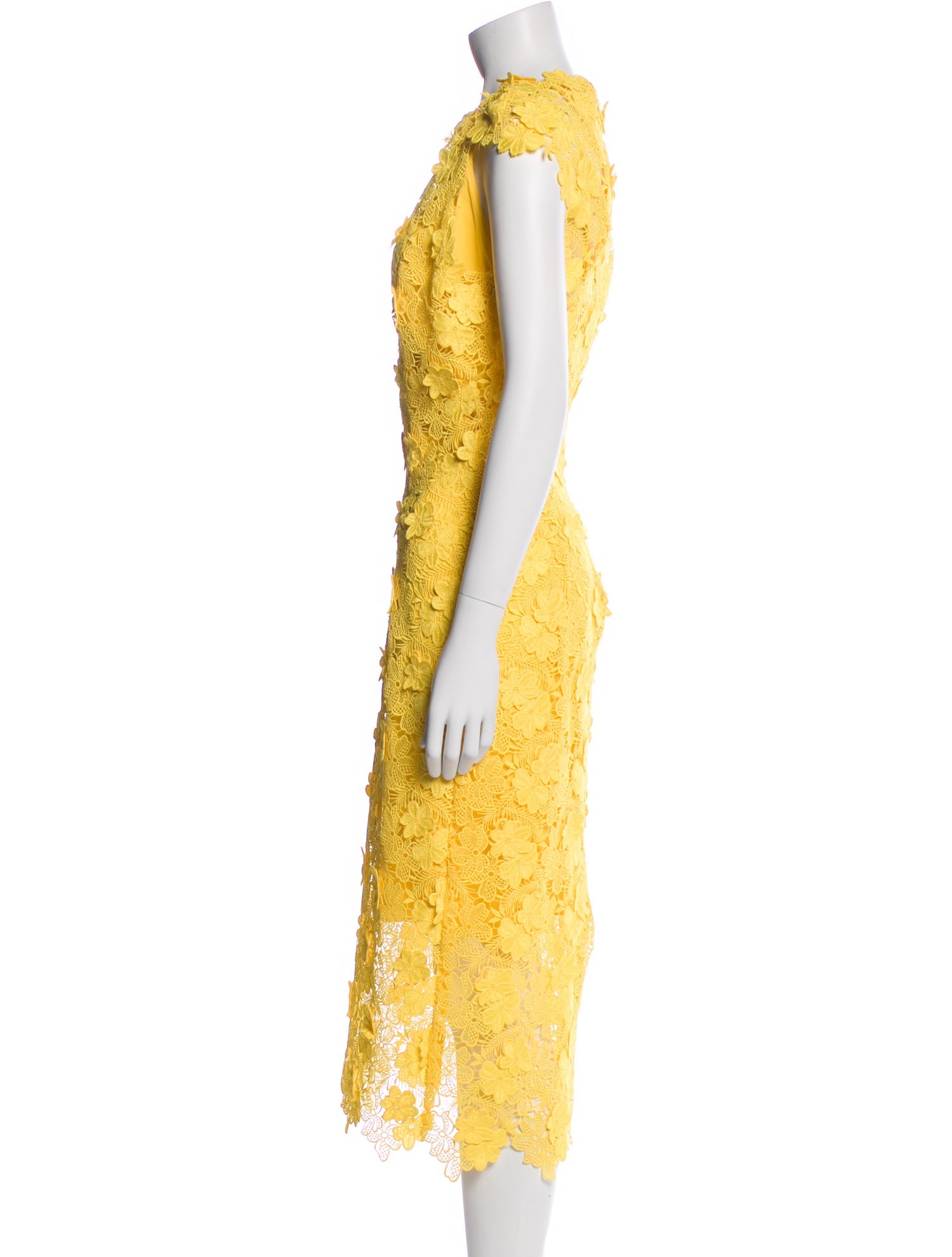 Monique Lhuillier Lace Pattern Long Dress