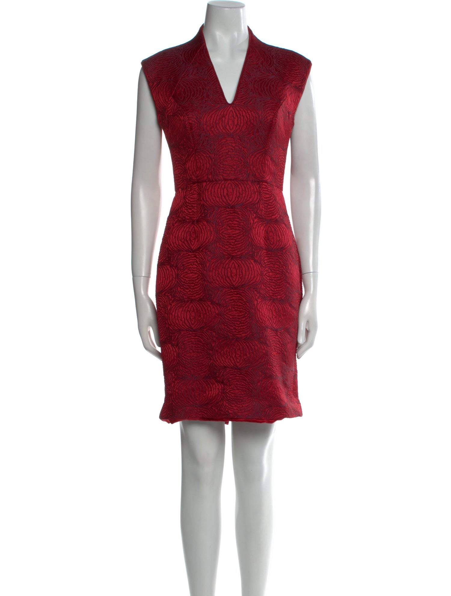 Monique Lhuillier Printed Knee-Length Dress