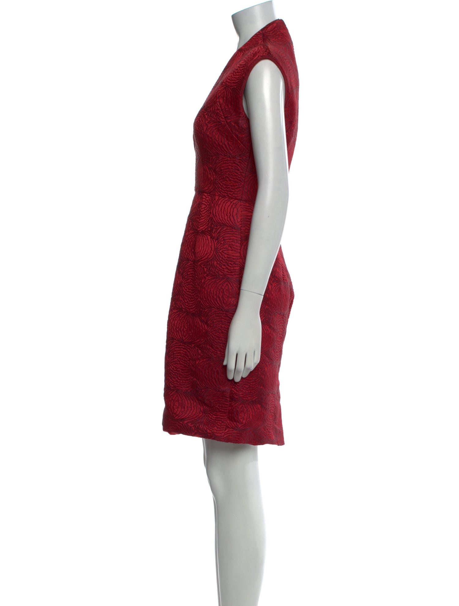 Monique Lhuillier Printed Knee-Length Dress