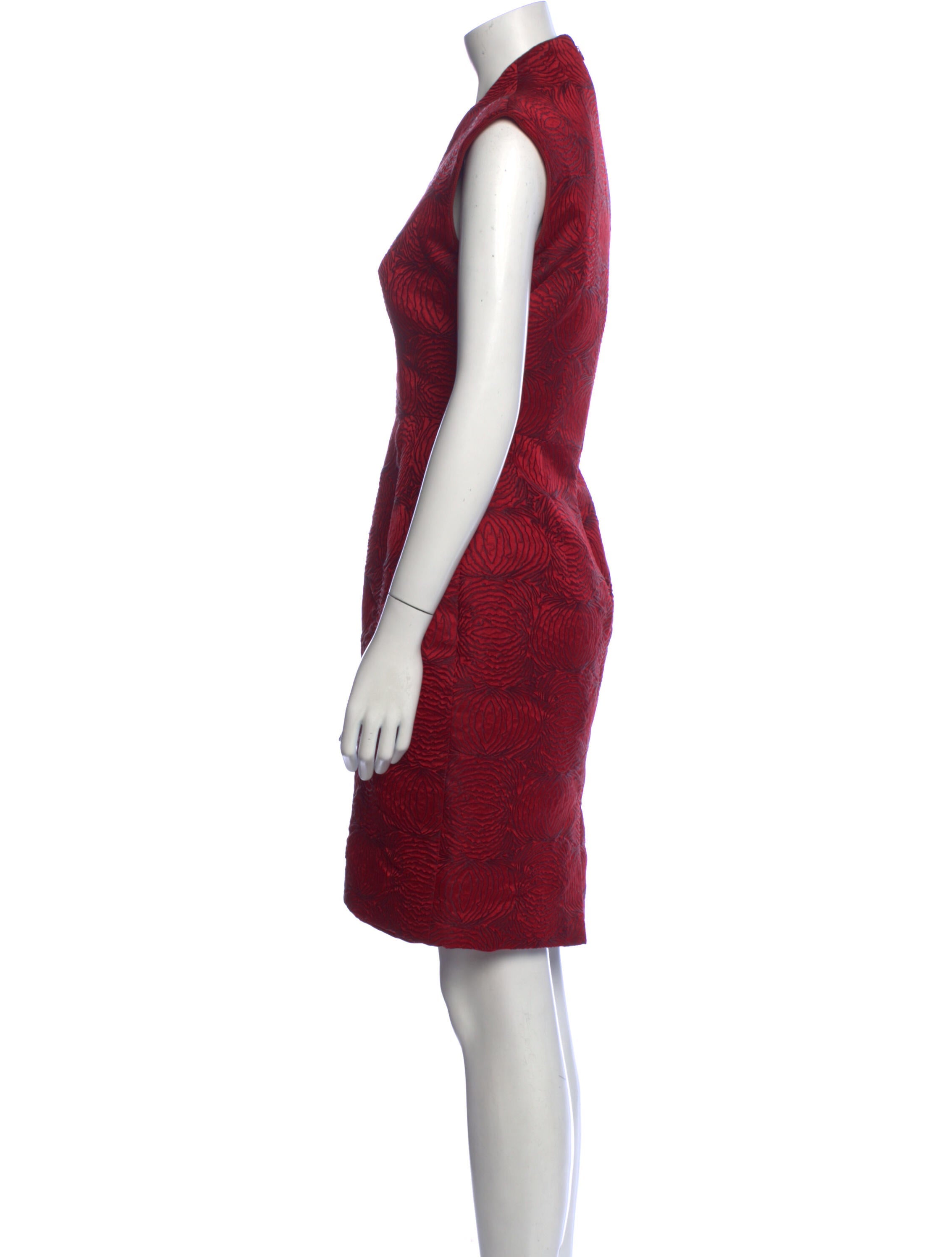 Monique Lhuillier Printed Knee-Length Dress