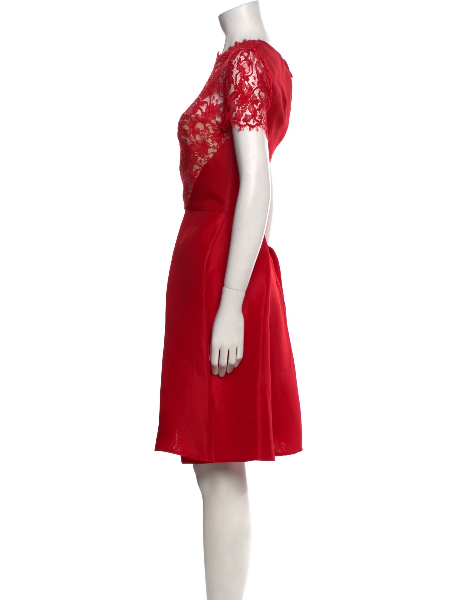 Monique Lhuillier Lace Pattern Knee-Length Dress