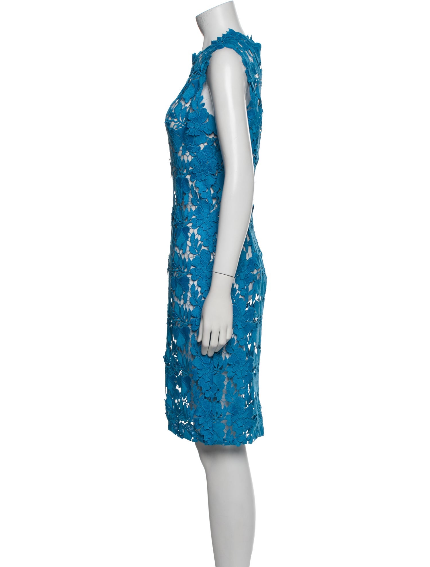 Monique Lhuillier Printed Knee-Length Dress