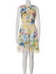 Monique Lhuillier Floral Print Mini Dress