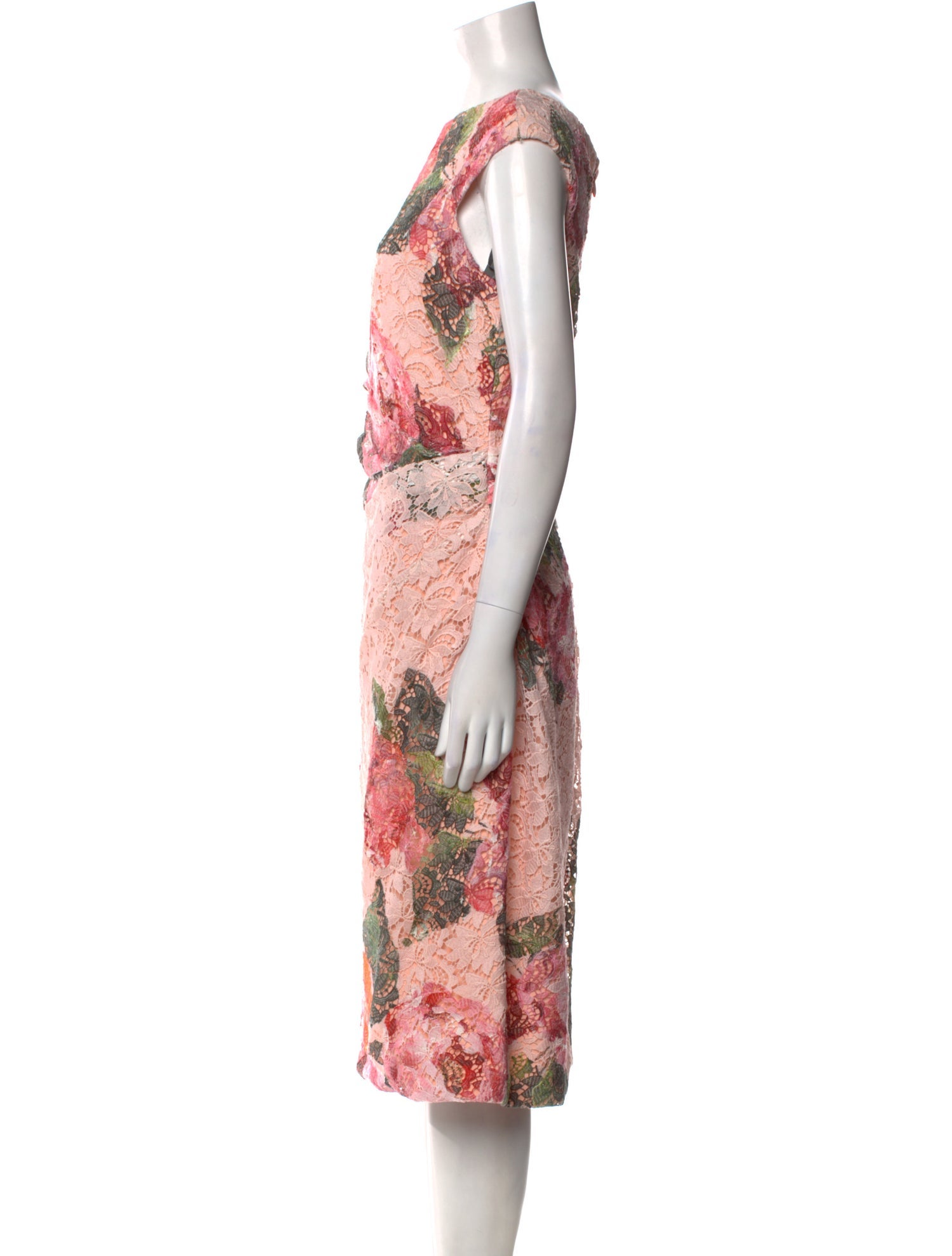 Monique Lhuillier Printed Midi Length Dress