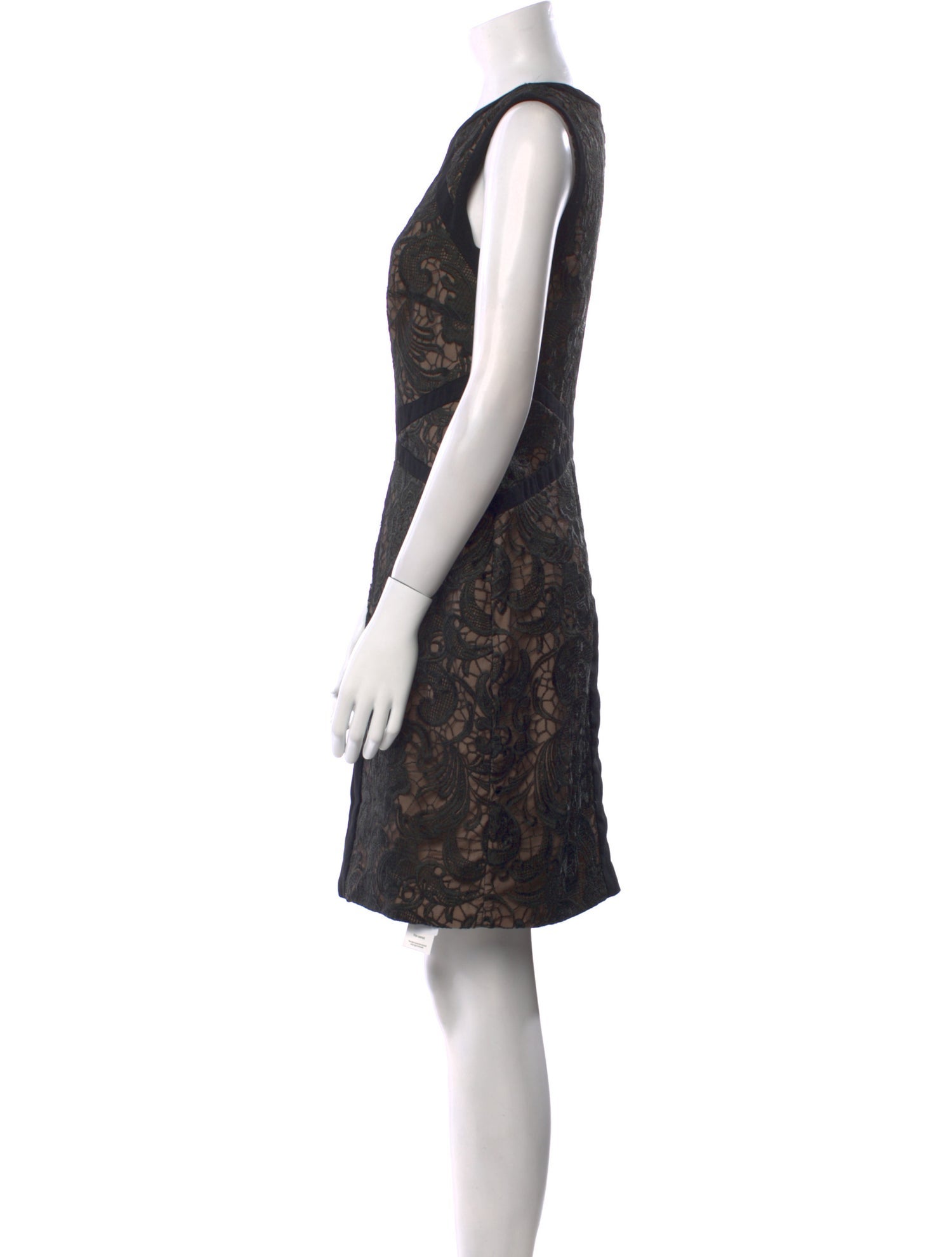 Monique Lhuillier Lace Pattern Mini Dress