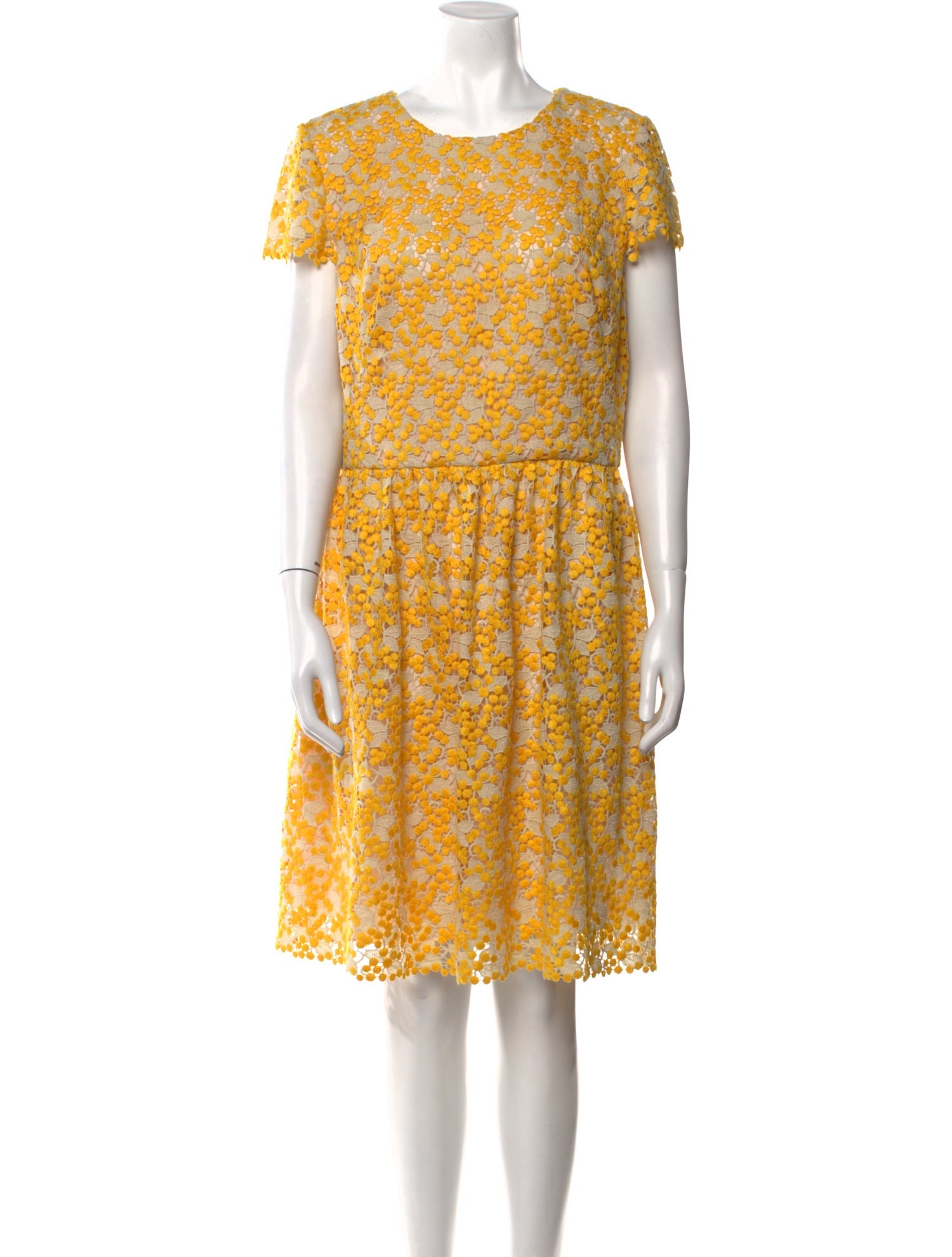 Monique Lhuillier Floral Print Knee-Length Dress