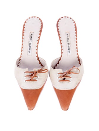 Manolo Blahnik Mules