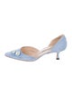 Manolo Blahnik Daisy Do d'Orsay Pumps