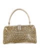 Manolo Blahnik Lizard Frame Bag