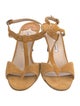 Manolo Blahnik Suede T-Strap Sandals