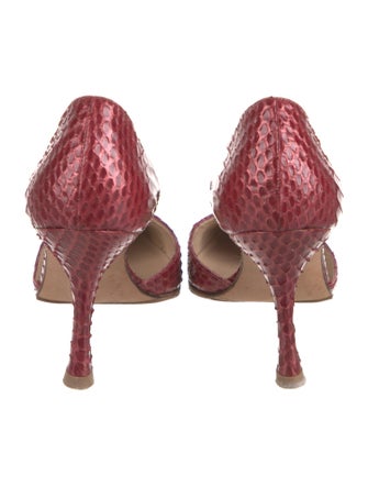Manolo Blahnik Python