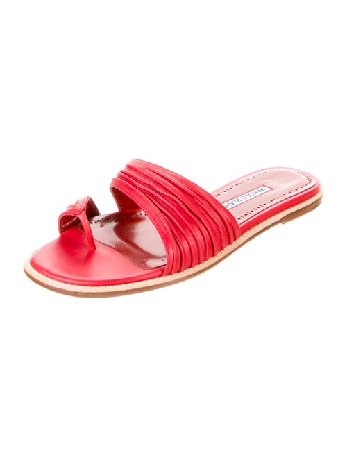 Manolo Blahnik Leather Floral Print Slides