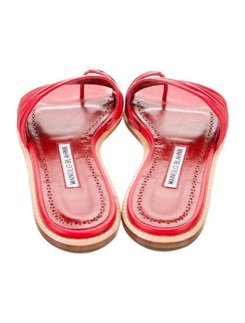 Manolo Blahnik Leather Floral Print Slides