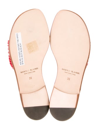 Manolo Blahnik Leather Floral Print Slides