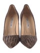 Manolo Blahnik Leather Animal Print Pumps