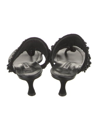 Manolo Blahnik Suede Crystal Embellishments Slides