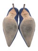 Manolo Blahnik Suede Pumps