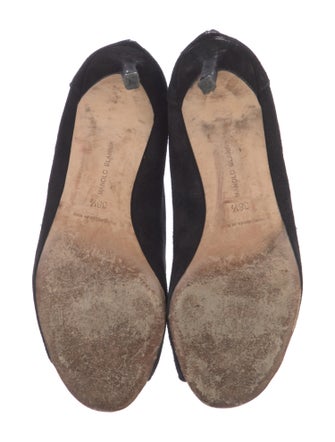Manolo Blahnik Suede Mules
