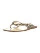 Manolo Blahnik Animal Print Slides
