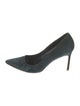 Manolo Blahnik Suede Pumps