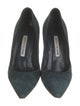 Manolo Blahnik Suede Pumps