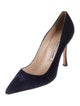 Manolo Blahnik Suede Pumps