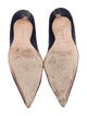 Manolo Blahnik Suede Pumps