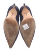 Manolo Blahnik Suede Pumps