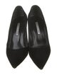 Manolo Blahnik Suede Pumps