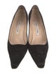 Manolo Blahnik Suede Pumps