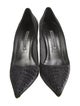 Manolo Blahnik Pumps