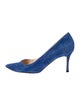 Manolo Blahnik Suede Pumps