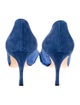 Manolo Blahnik Suede Pumps