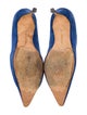Manolo Blahnik Suede Pumps