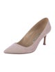 Manolo Blahnik Suede Pumps