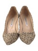 Manolo Blahnik Canvas Animal Print Pumps