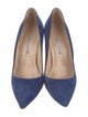 Manolo Blahnik Suede Pumps