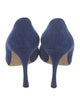 Manolo Blahnik Suede Pumps