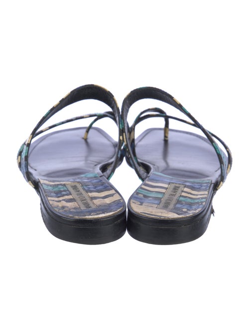 Manolo Blahnik Leather Printed Slides