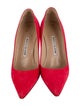 Manolo Blahnik Suede Pumps