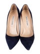 Manolo Blahnik Suede Pumps