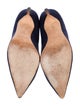Manolo Blahnik Suede Pumps