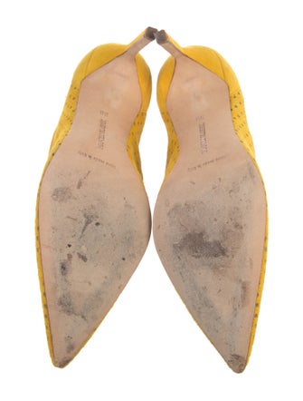 Manolo Blahnik Suede Pumps