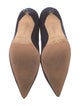 Manolo Blahnik Suede Pumps