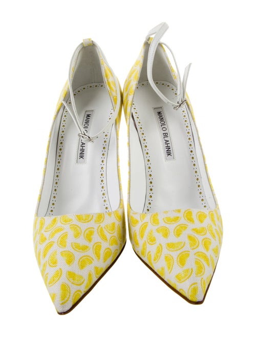 Manolo Blahnik Canvas Printed Pumps