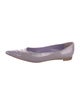 Manolo Blahnik Patent Leather Printed Ballet Flats