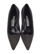 Manolo Blahnik Suede Pumps